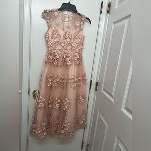 Chantilly Place Especial Ocasión Gown